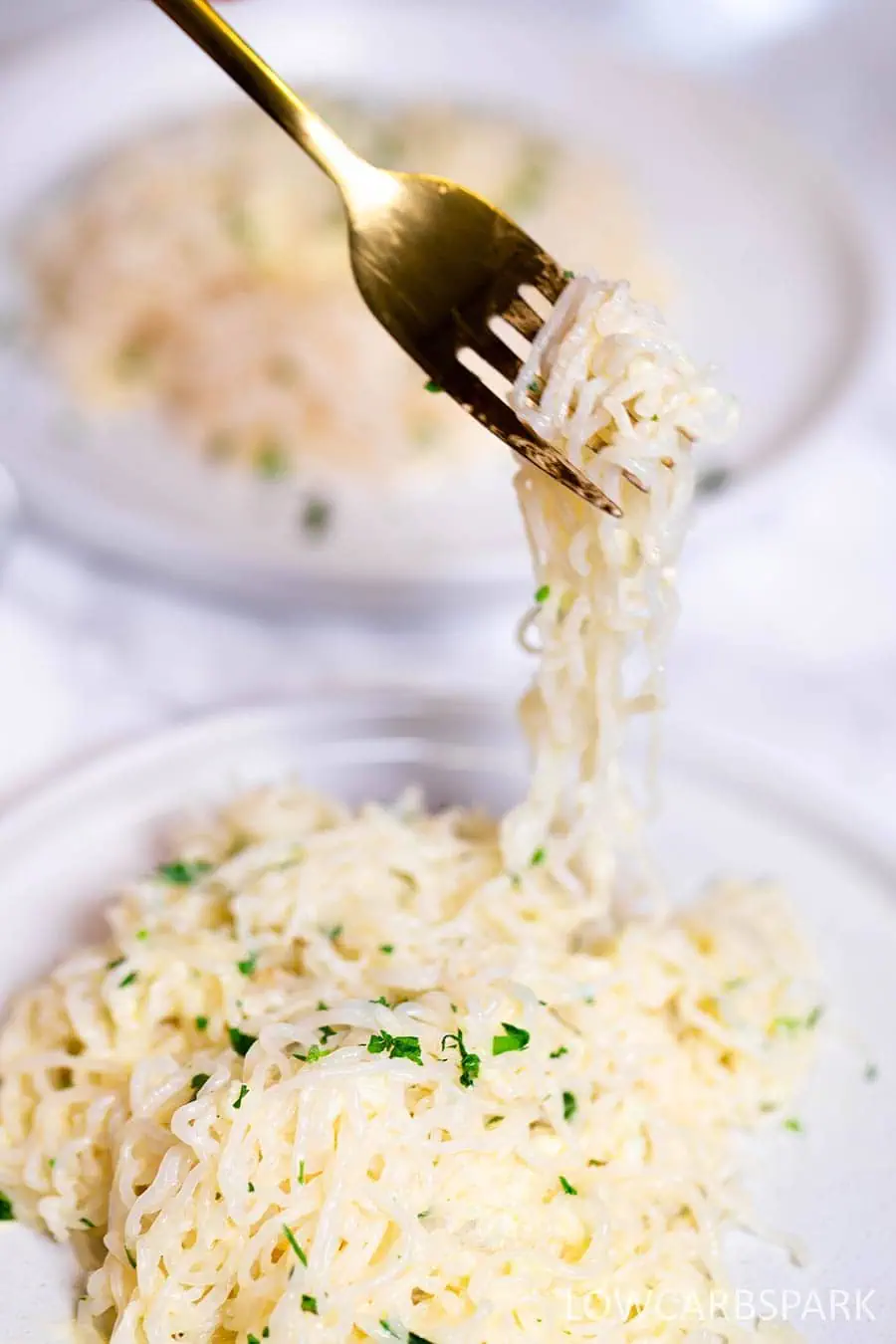 Garlic Butter Shirataki Noodles 13 Garlic Butter Shirataki Noodles