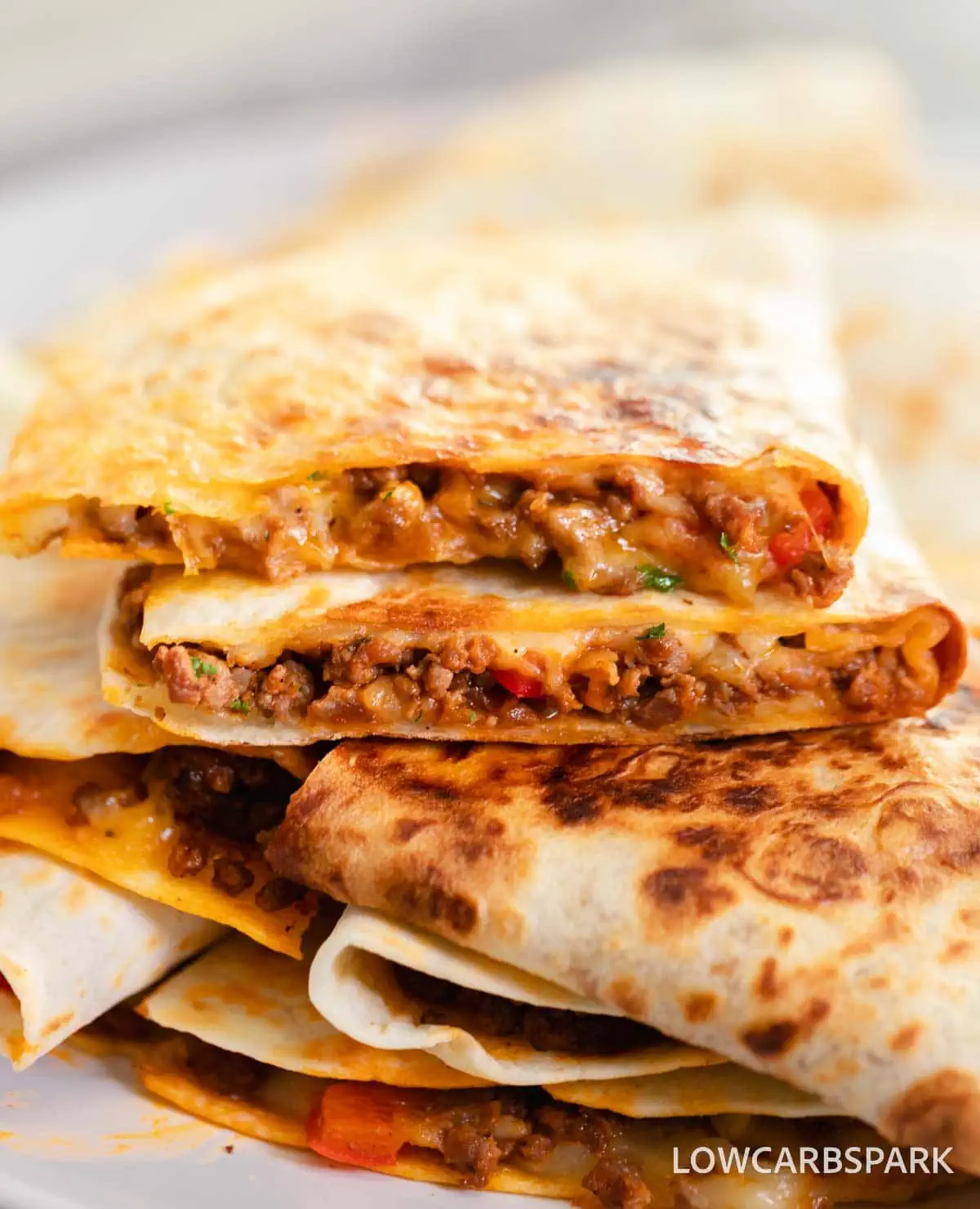 Beef Quesadilla 4 Beef Quesadilla