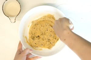 No-Bake Peanut Butter Protein Balls 12 How To Make Peanut Butter Protein Balls5