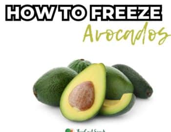 How to Freeze Avocados (4 Methods)
