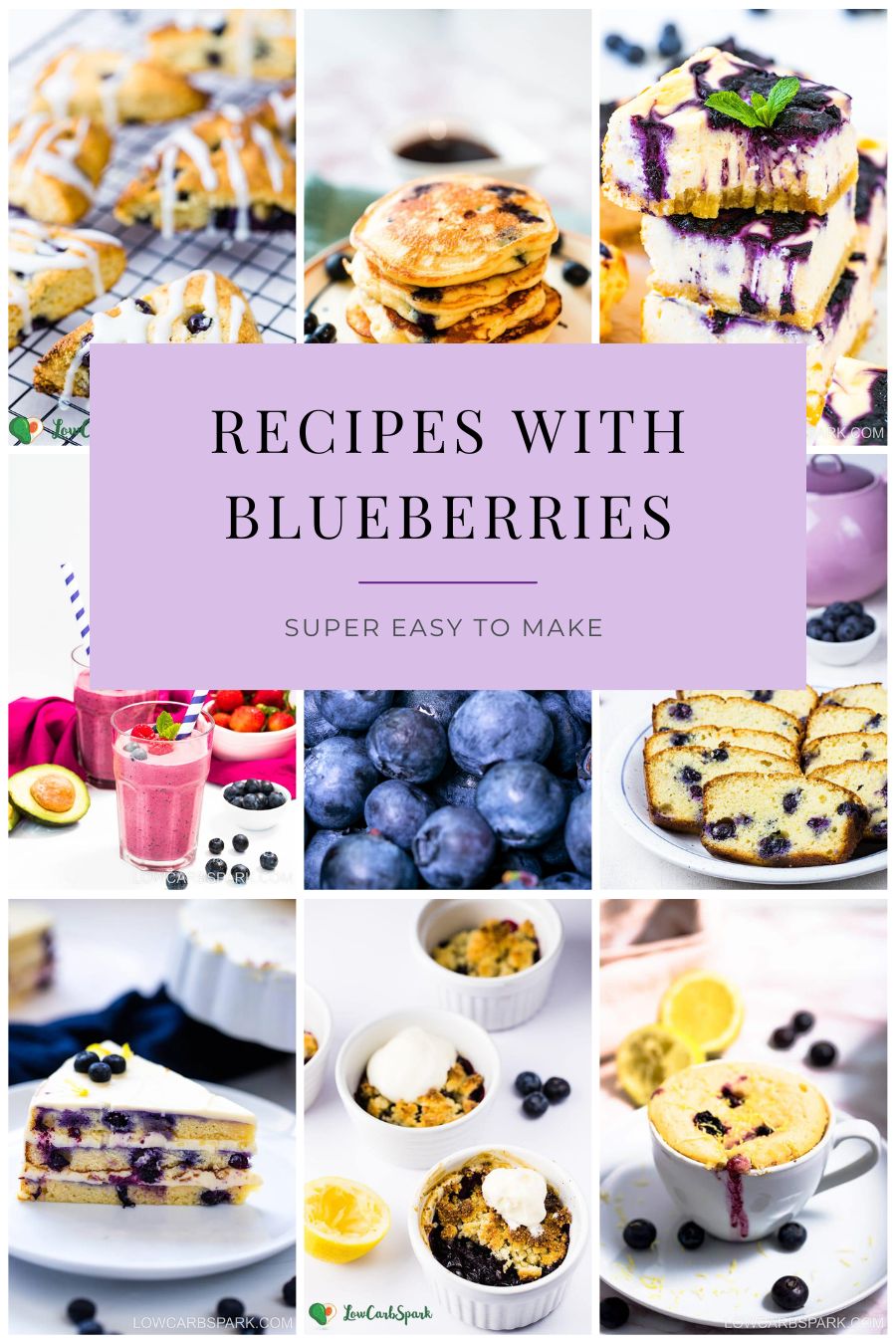 Recipes with blueberries