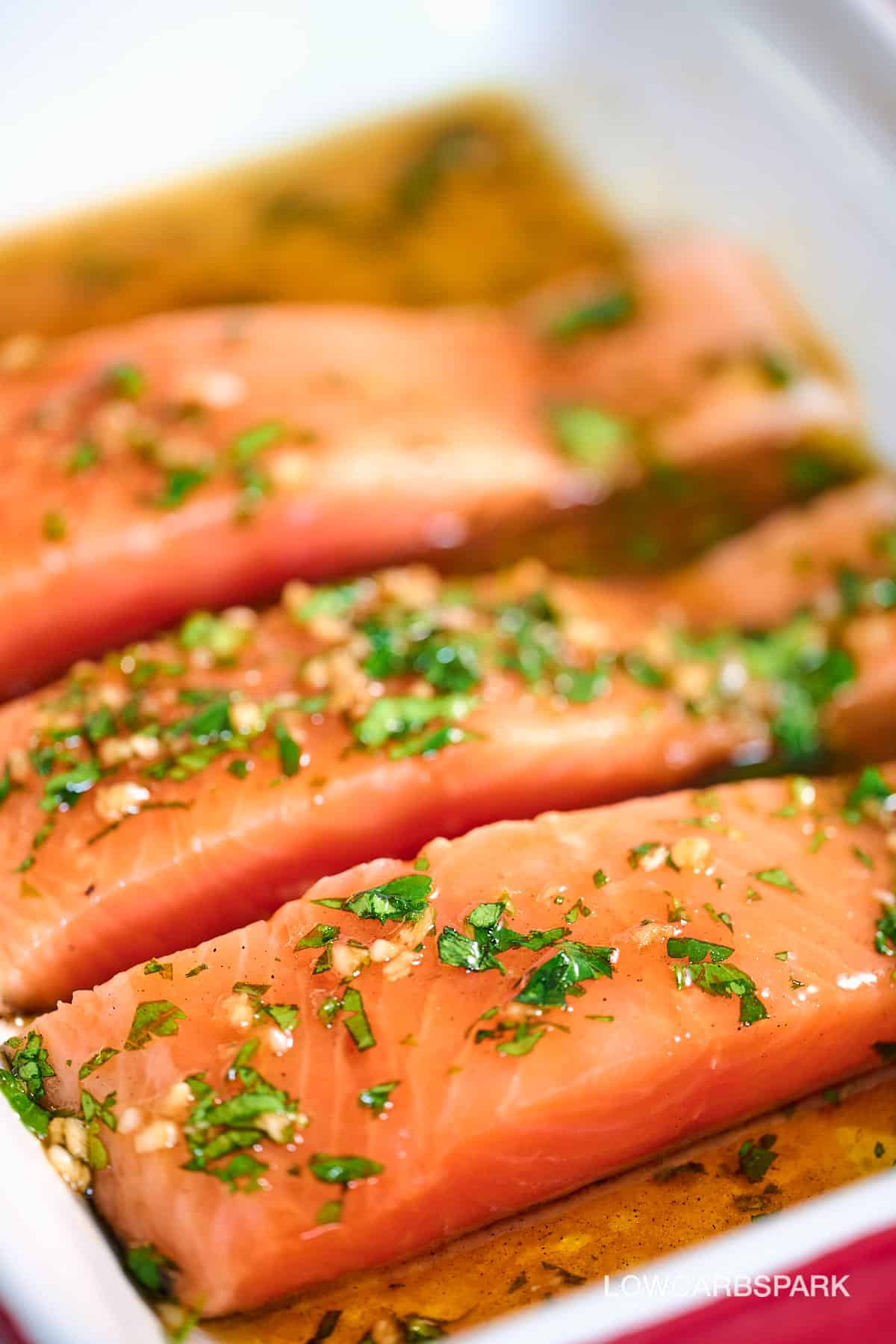 Salmon Marinade Recipe 2