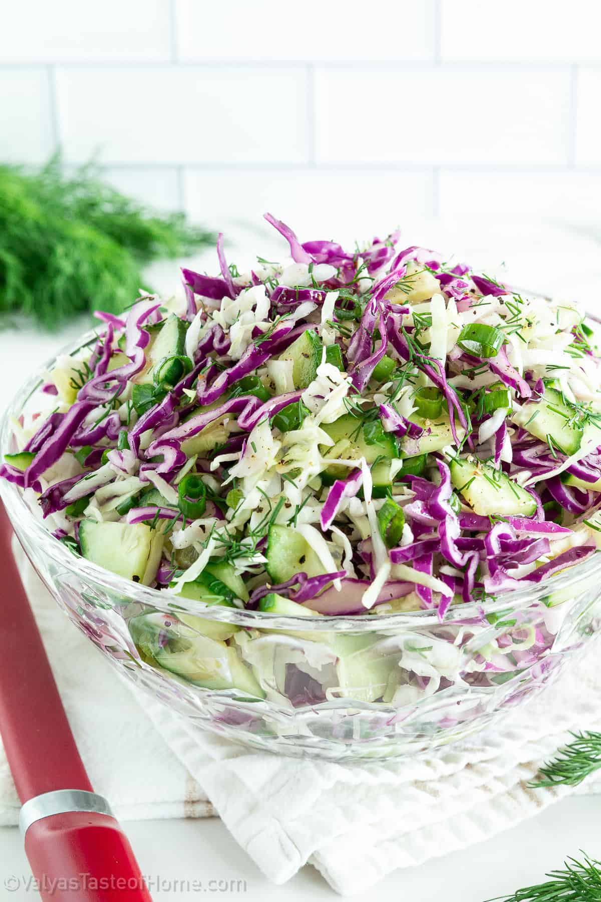 The Tastiest Red Cabbage Salad Recipe Easy to Make 1