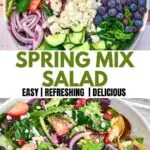 Spring Mix Salad