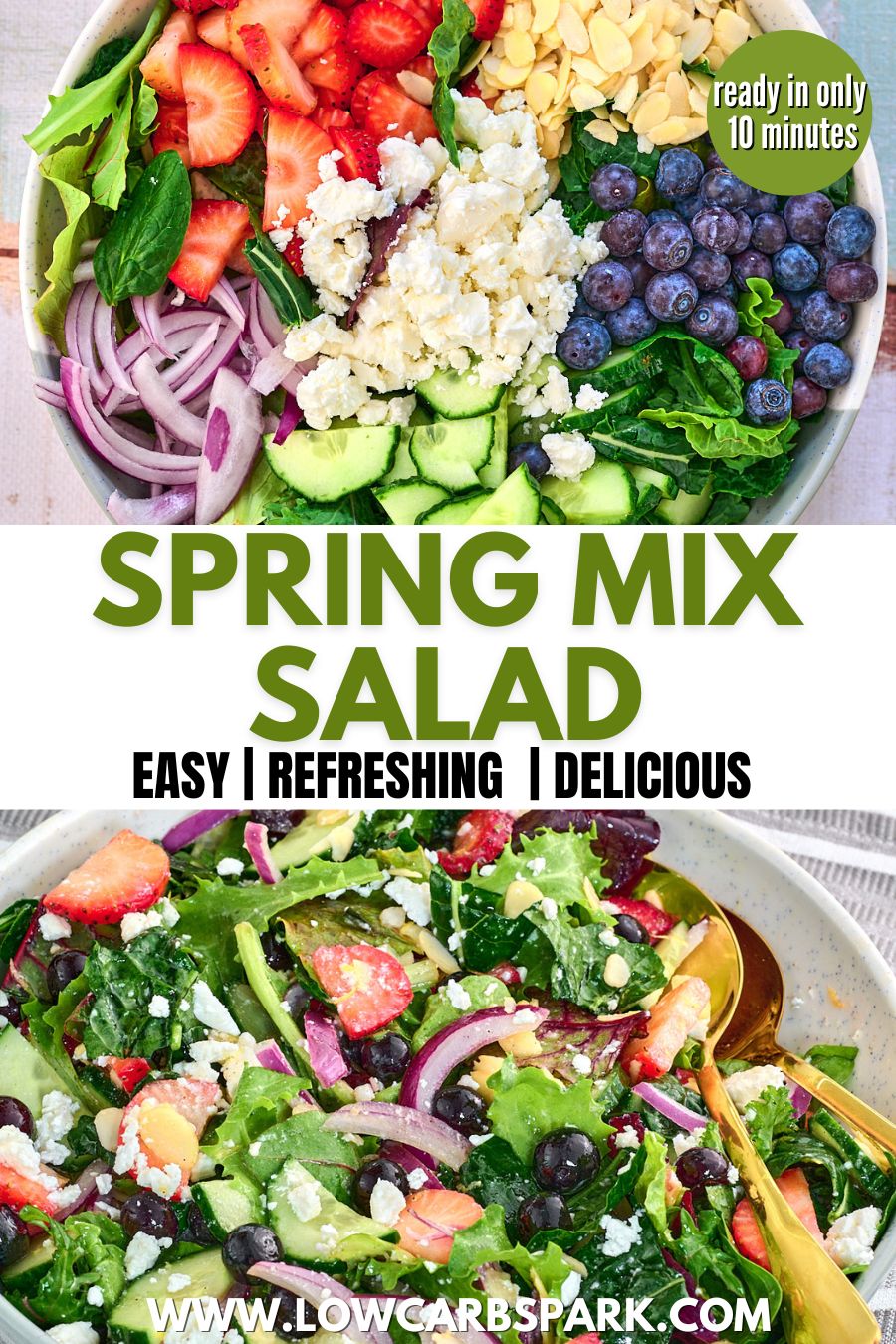 Best Spring Mix Salad