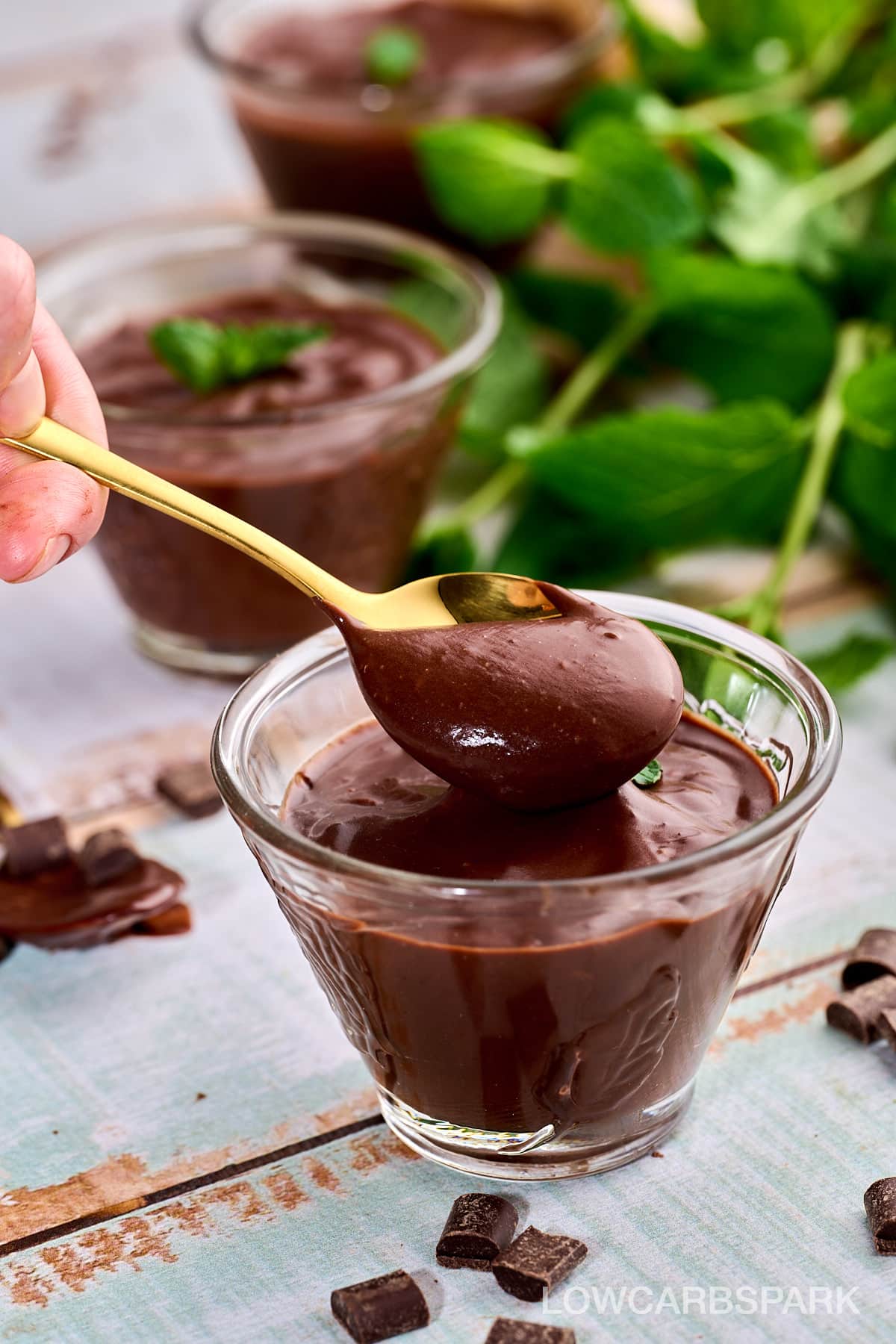Sugar-Free Chocolate Pudding 