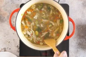 Healthy Chicken Detox Soup 17 how to make Healthy Chicken Detox Soup