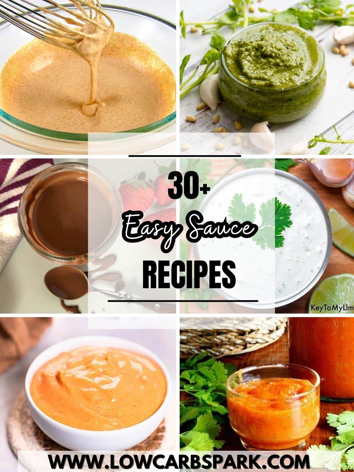 30+ Easy Sauce Recipes