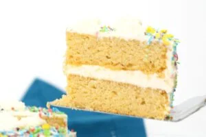 The Best Keto Cake I've Ever Had 22 how to make Keto Cake14