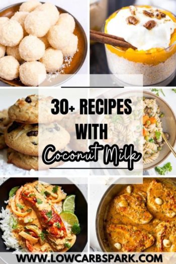 30+ Recipes with Coconut Milk