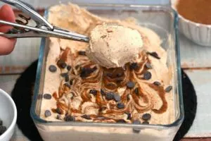Cottage Cheese Ice Cream 17 how to make Cottage Cheese Ice Cream