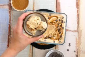 Cottage Cheese Ice Cream 18 how to make Cottage Cheese Ice Cream