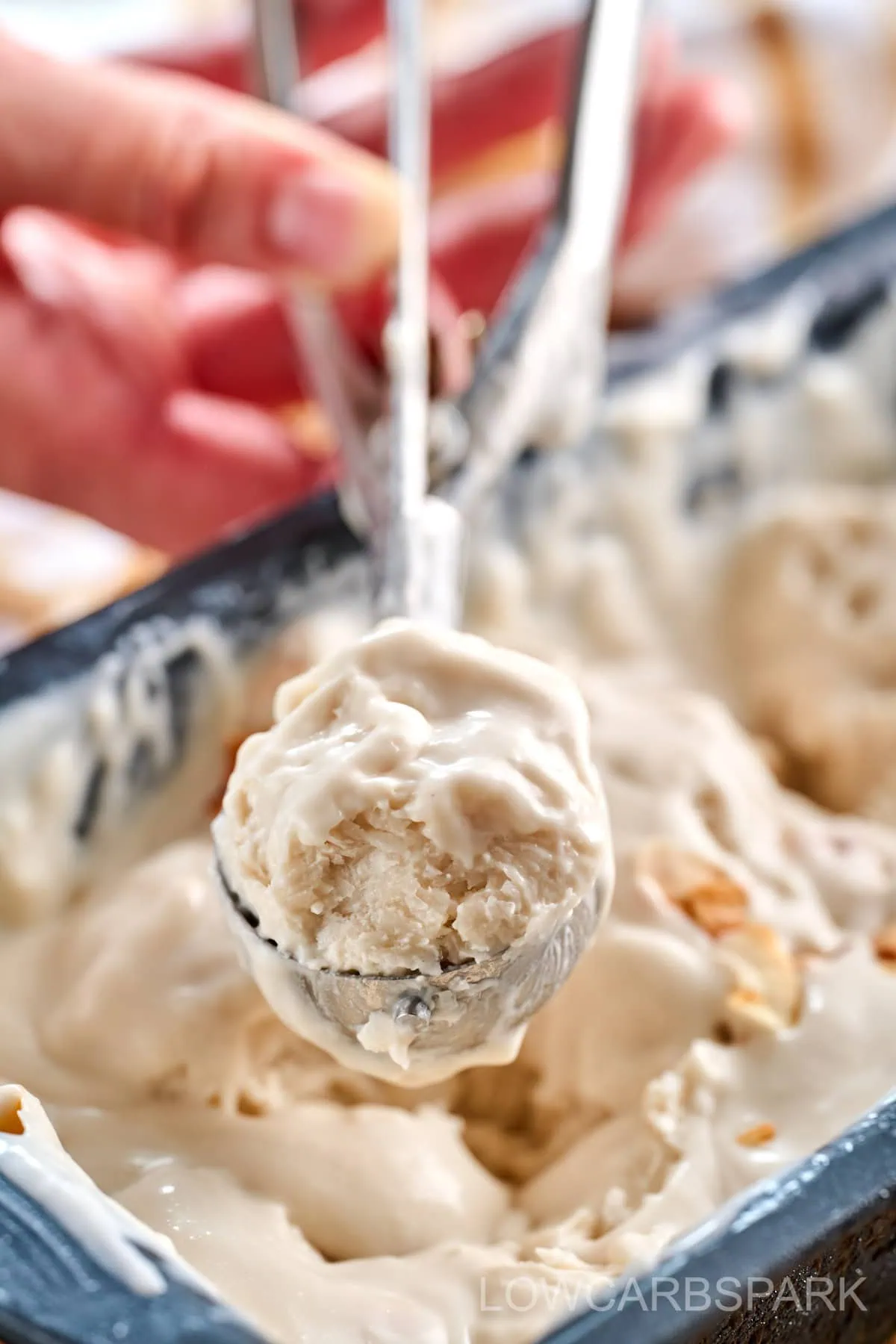Coconut Milk Ice Cream 6 Coconut Milk Ice Cream