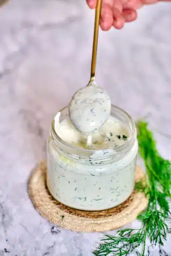 Creamy Sour Cream Dip 