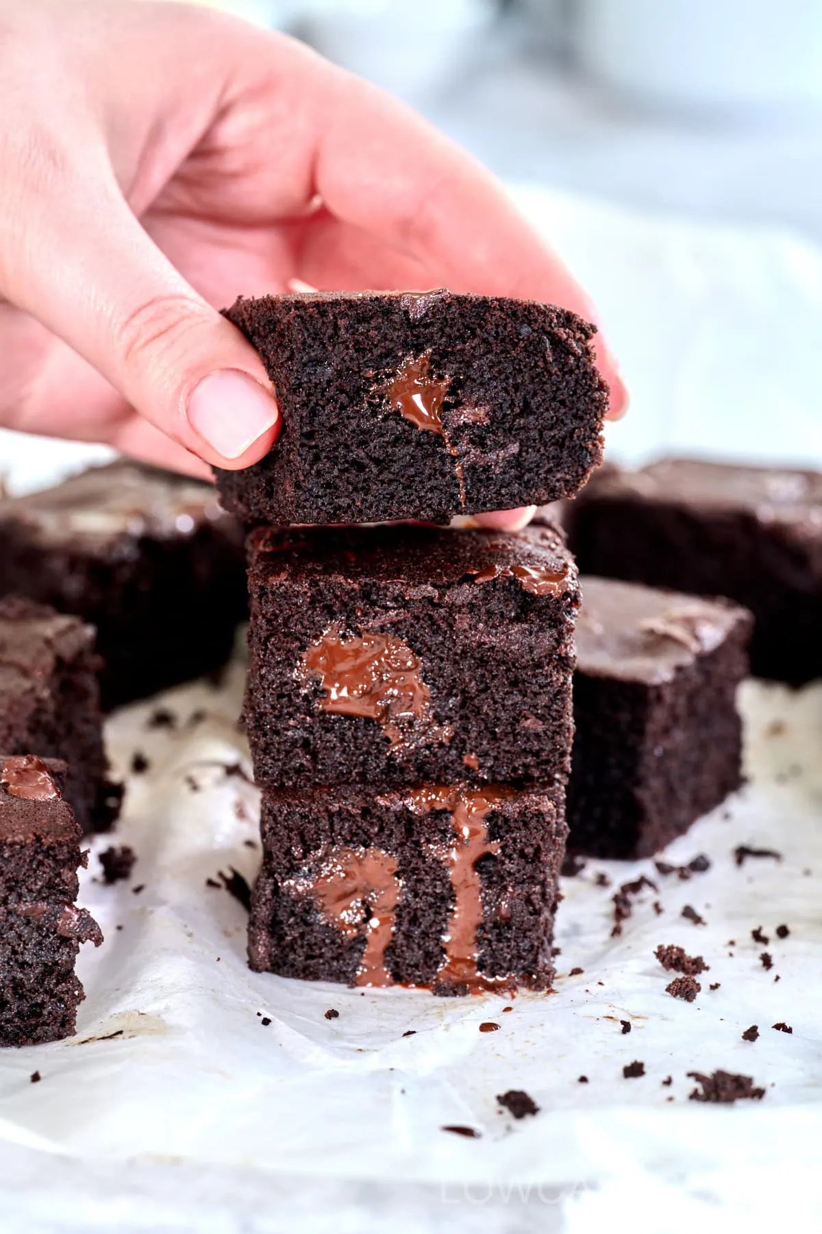 The Best Coconut Flour Brownies 8 easy coconut flour brownies recipe