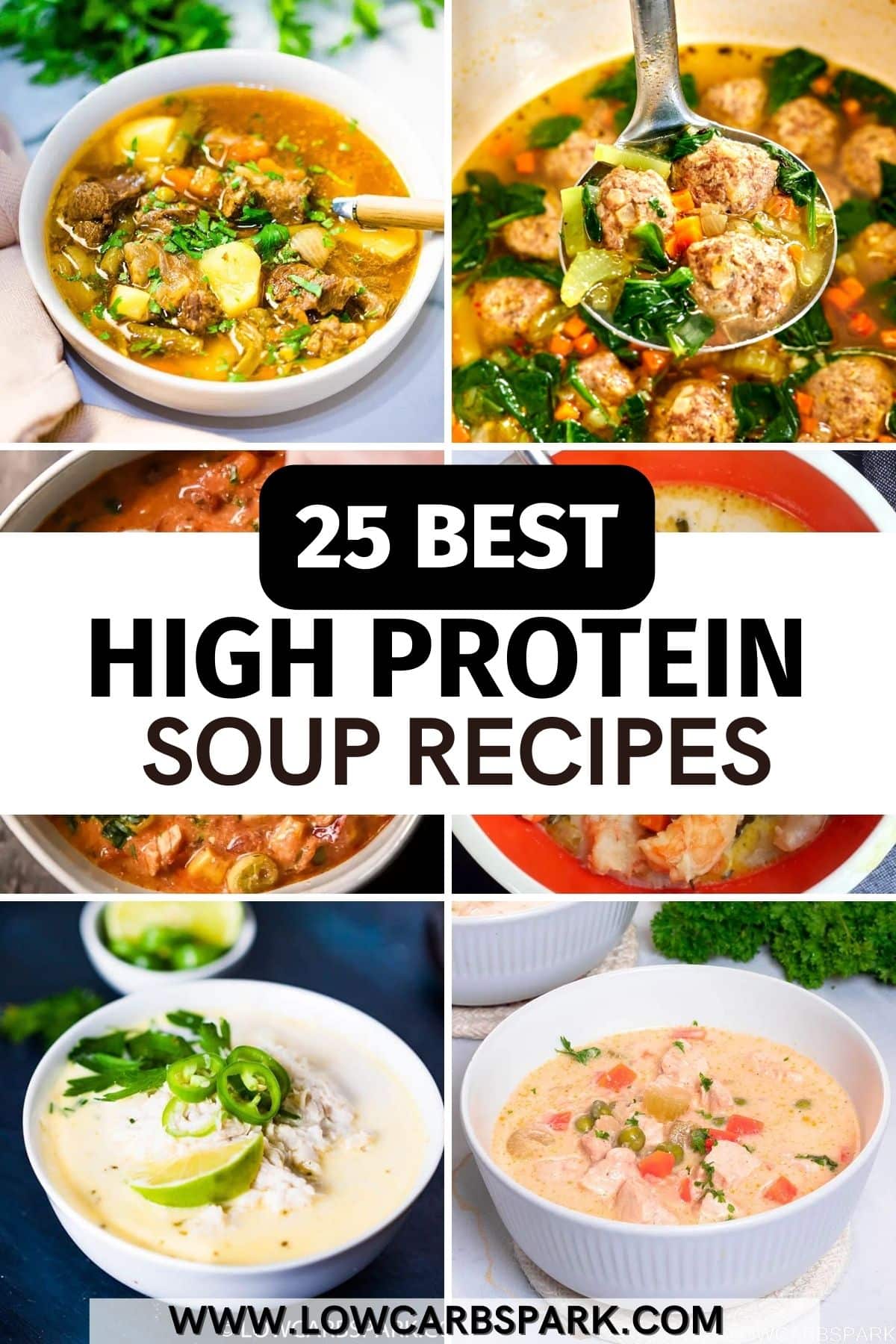 25 High Protein Soup Recipes