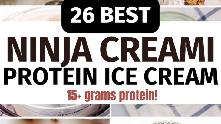 26 Ninja Creami Protein Ice Cream