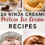 the best 26 ninja creami protein ice cream
