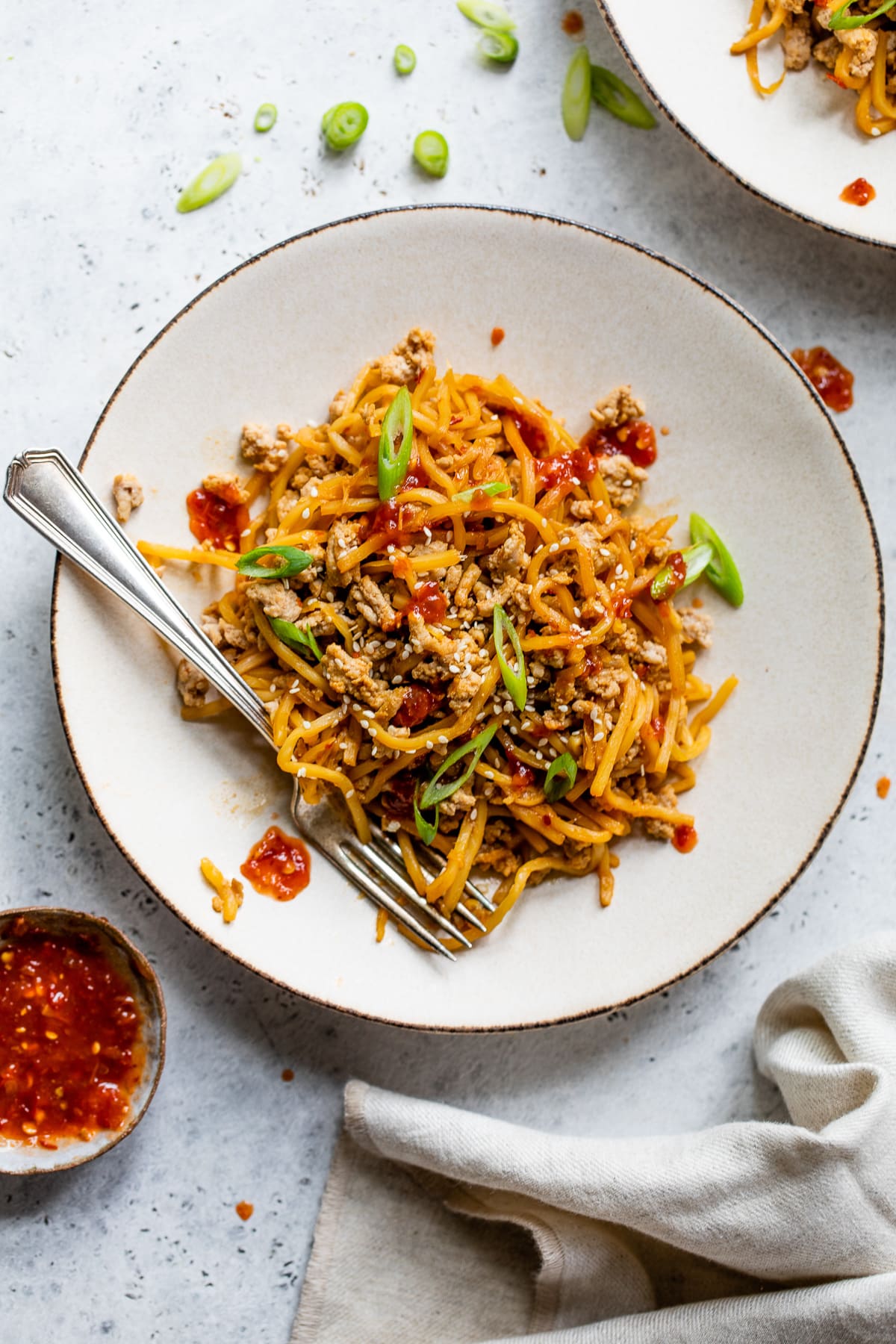 Sambal Spicy Noodles with Turkey 7
