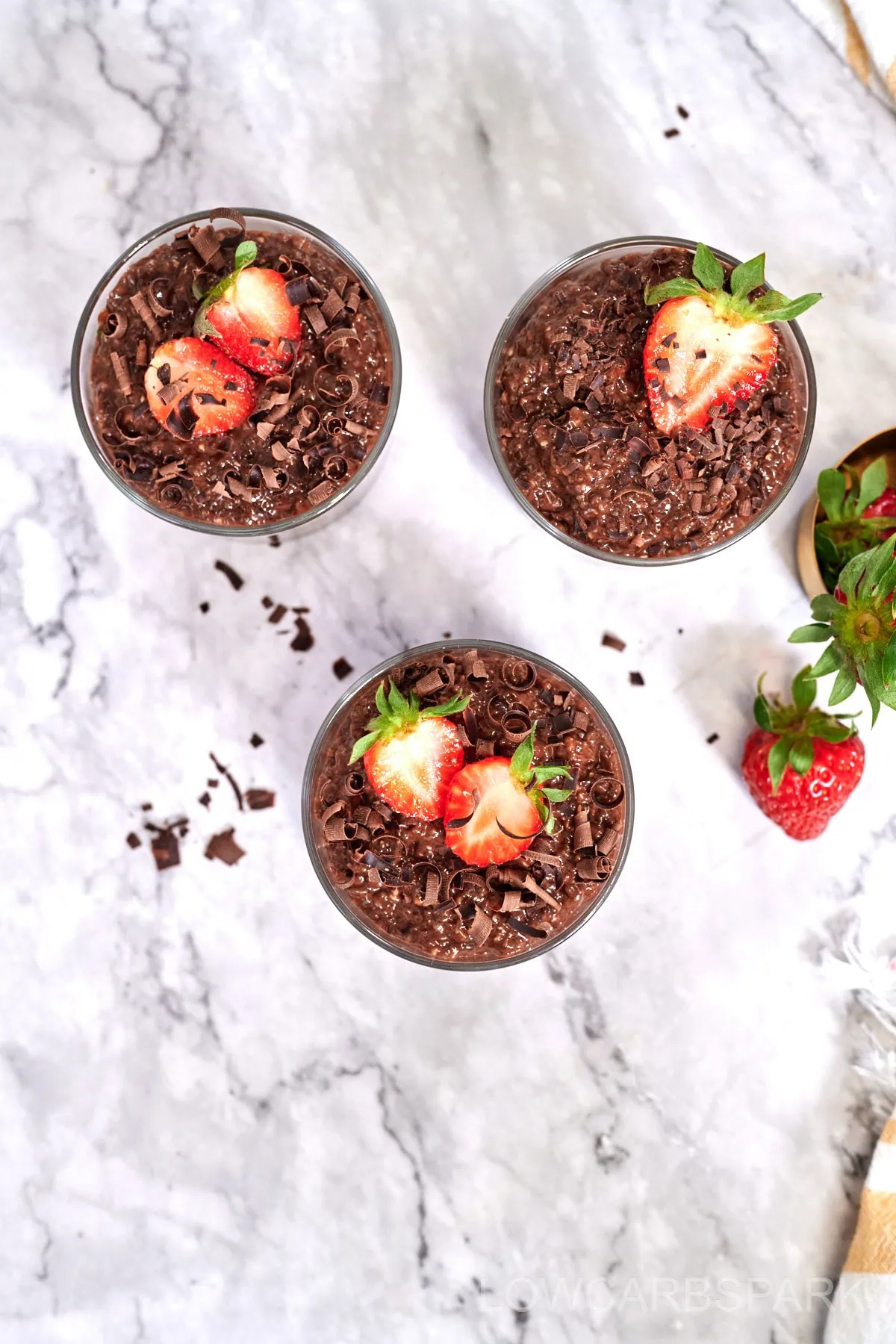 Chocolate Chia Pudding 9 best chia pudding recipe