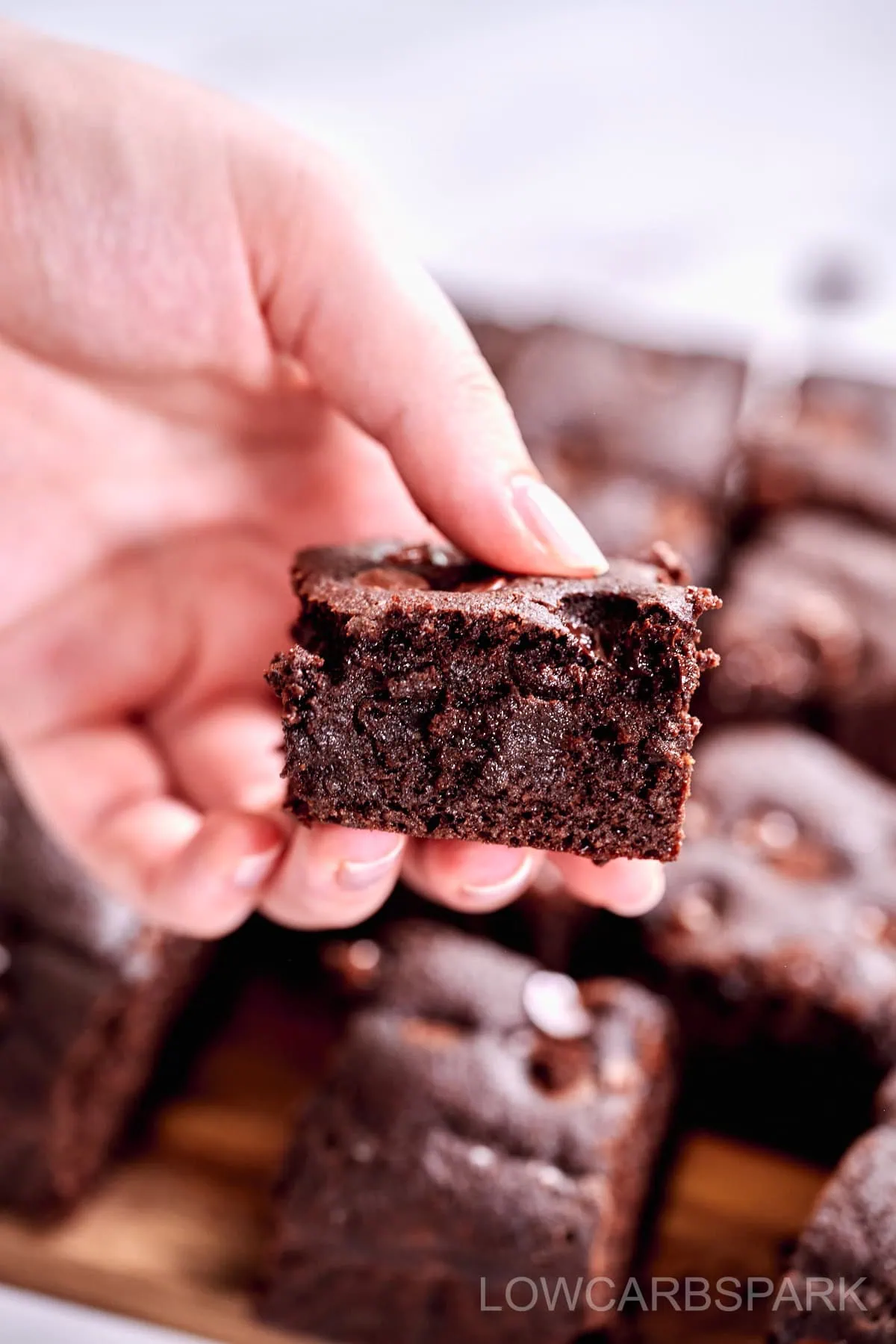 Cottage Cheese Protein Brownies 10 cottage cheese brownies