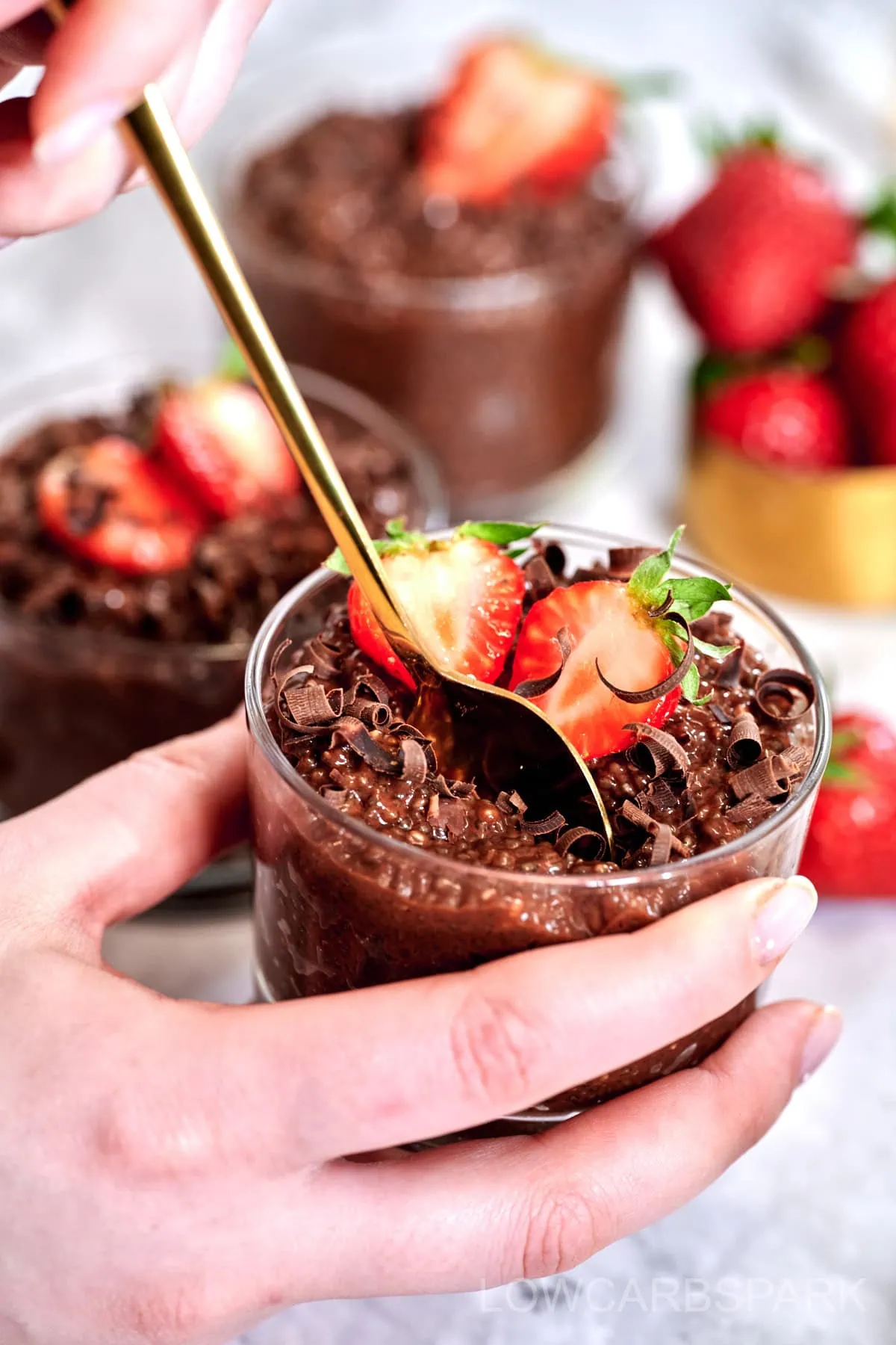 Chocolate Chia Pudding 7 healthy chia seed pudding 3