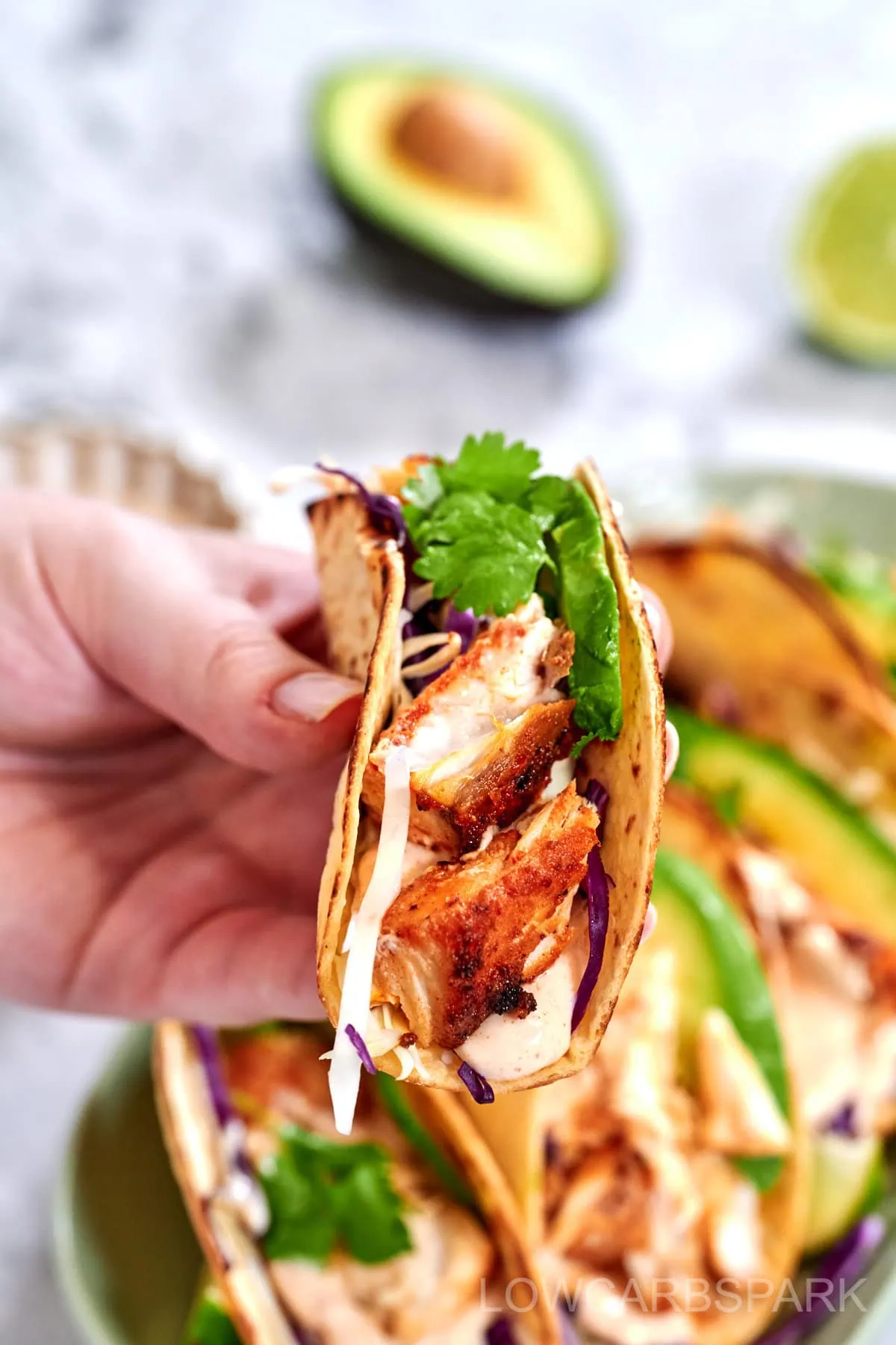 Fish Tacos 2 Fish Tacos