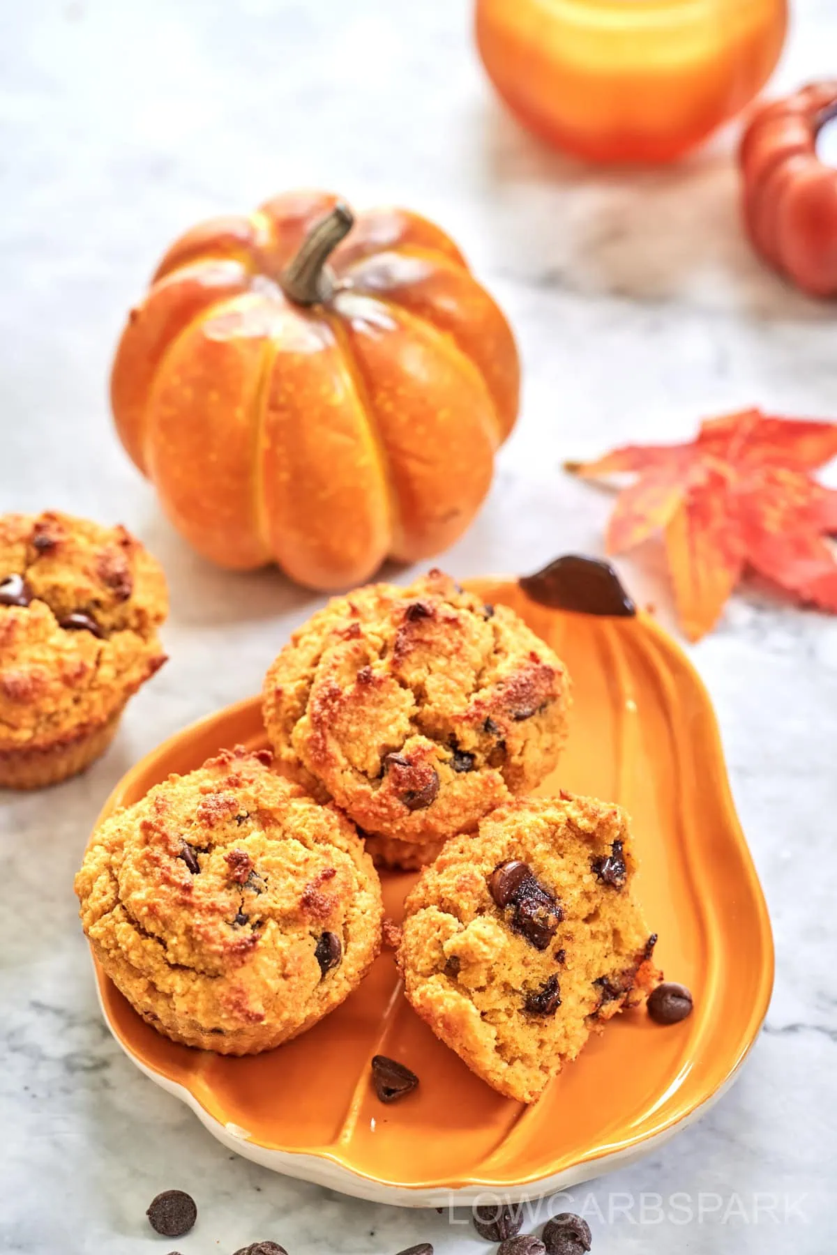 Chocolate Chip Pumpkin Muffins 9 Chocolate Chip Pumpkin Muffins1