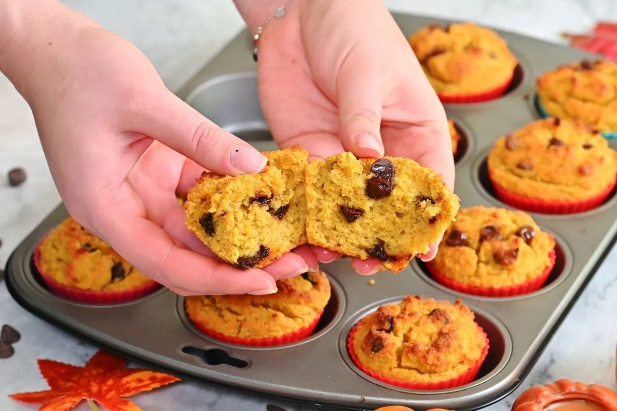 Chocolate Chip Pumpkin Muffins 8 Freshly baked chocolate chip pumpkin muffins.