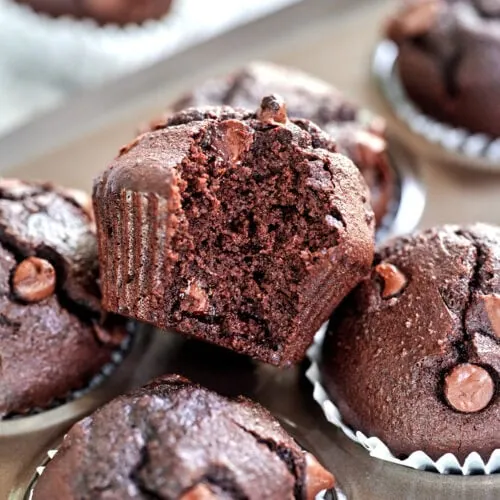 Cottage Cheese Protein Muffins 15 A freshly baked cottage cheese protein muffin with a soft, moist texture and rich chocolate flavor, perfect for a high-protein, low-carb snack.