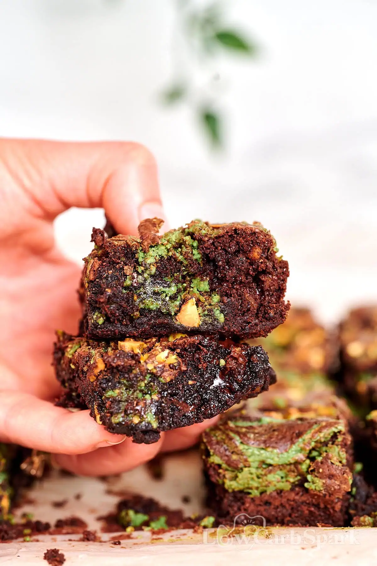 Fudgy Gluten-Free Pistachio Brownies 6 Fudgy low-carb brownies with pistachio swirl texture and chopped nuts inside.