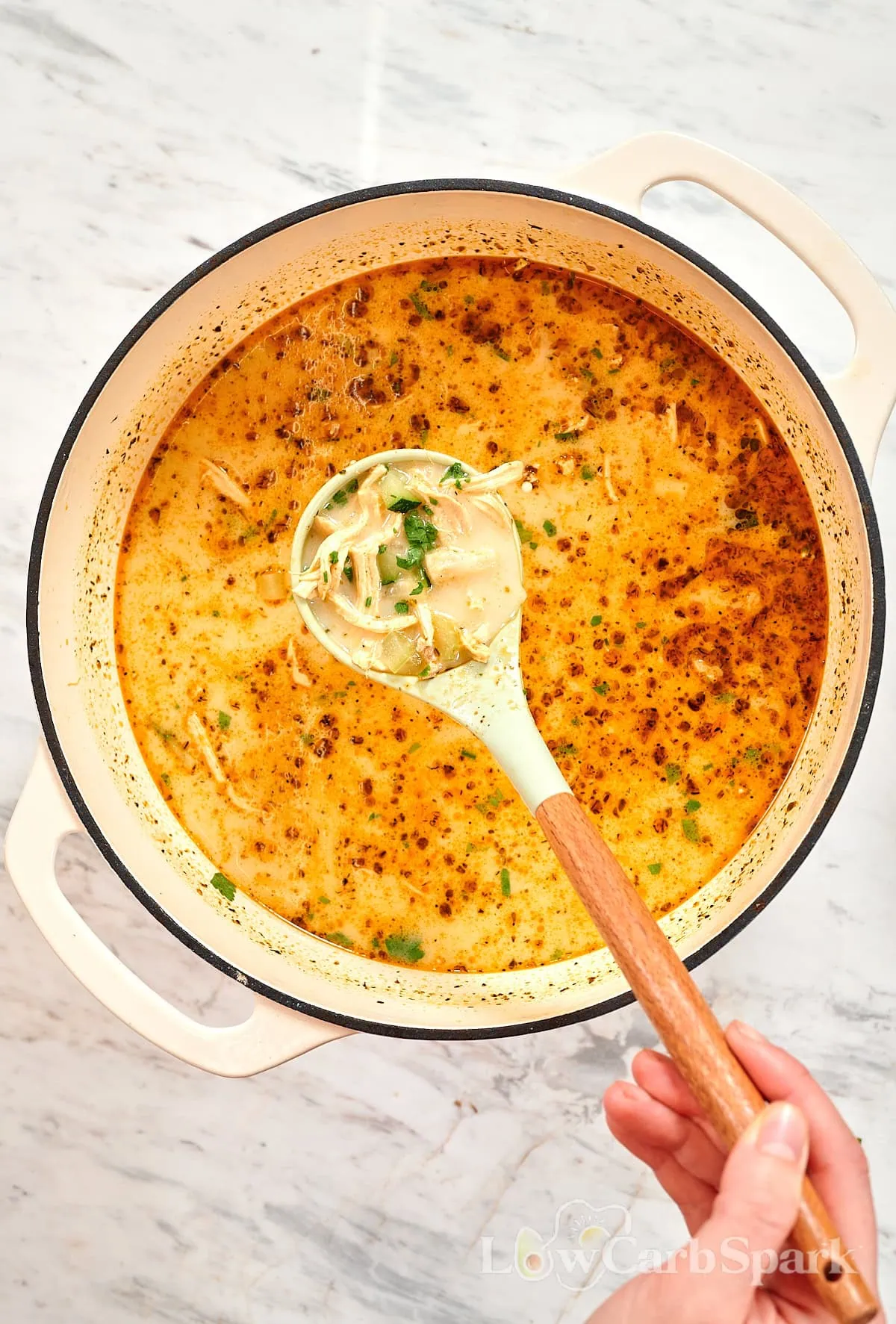Creamy Turkey Soup 1 A ladle scooping creamy turkey soup from a Dutch oven filled with shredded turkey and herbs.