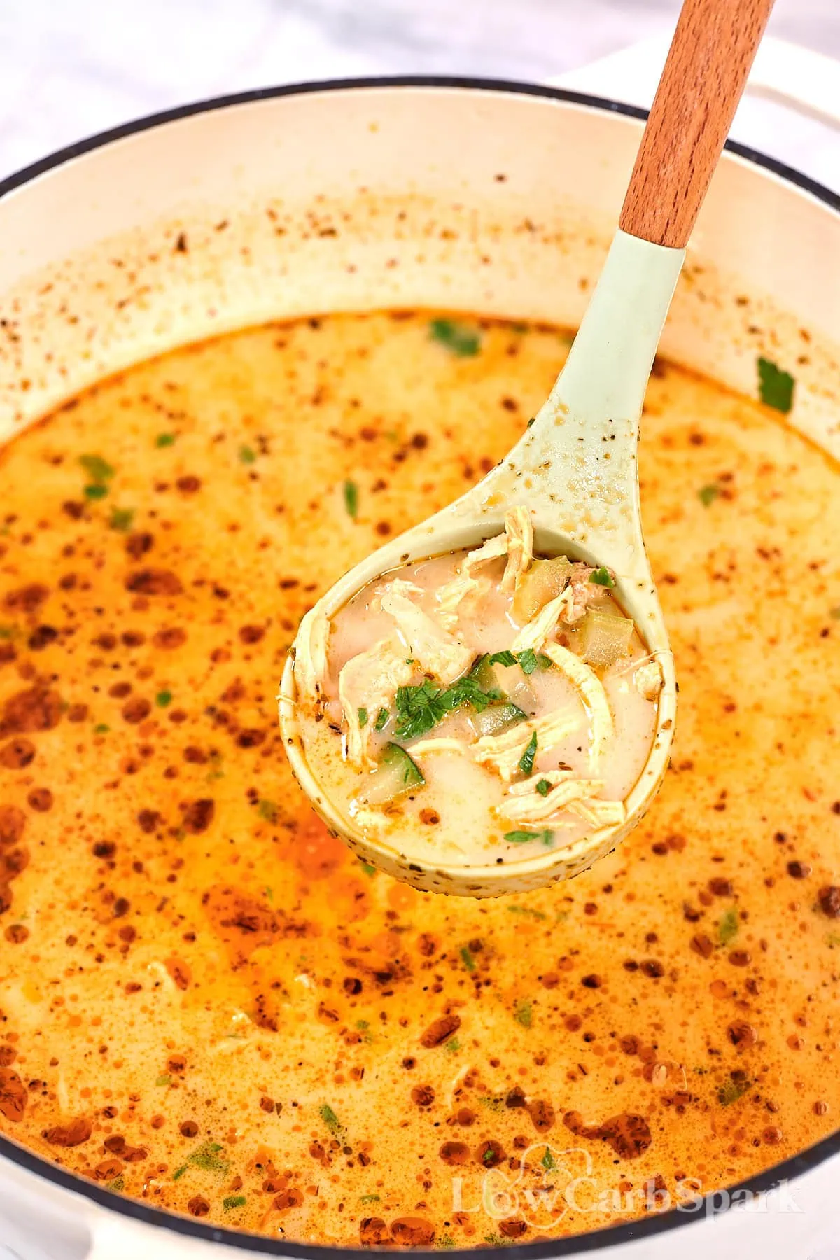 Creamy Turkey Soup 13 Close-up ladle of creamy turkey soup showing shredded turkey and herbs.