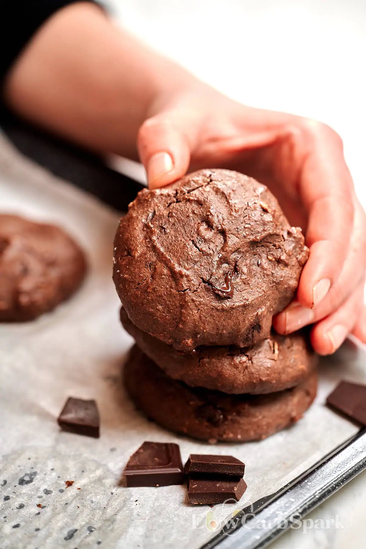 BEST High-Protein Chocolate Breakfast Cookies 9 Chocolate breakfast cookies made with protein powder and dark chocolate chips