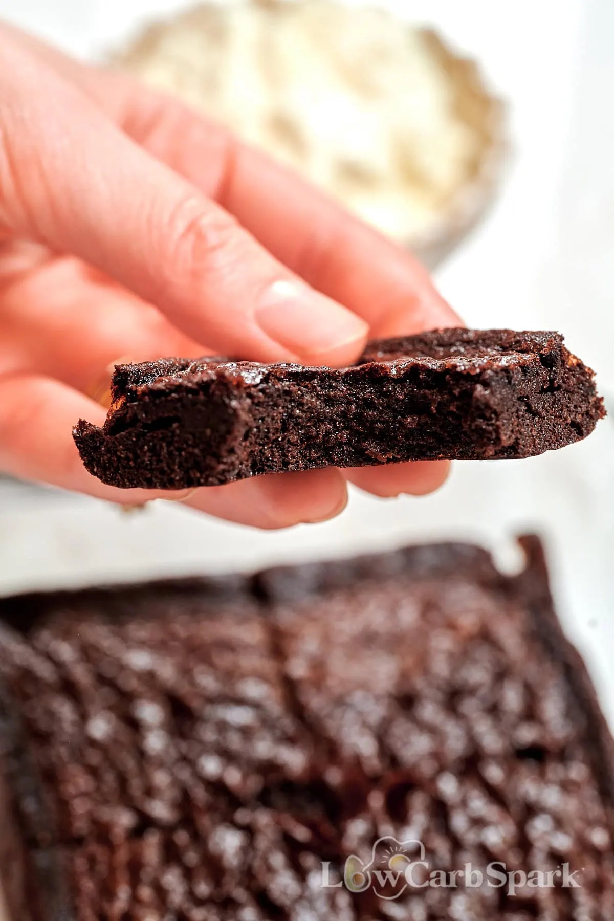 Single-Serve High-Protein Chocolate Brownie 2 Single Serve High Protein Chocolate Brownie2