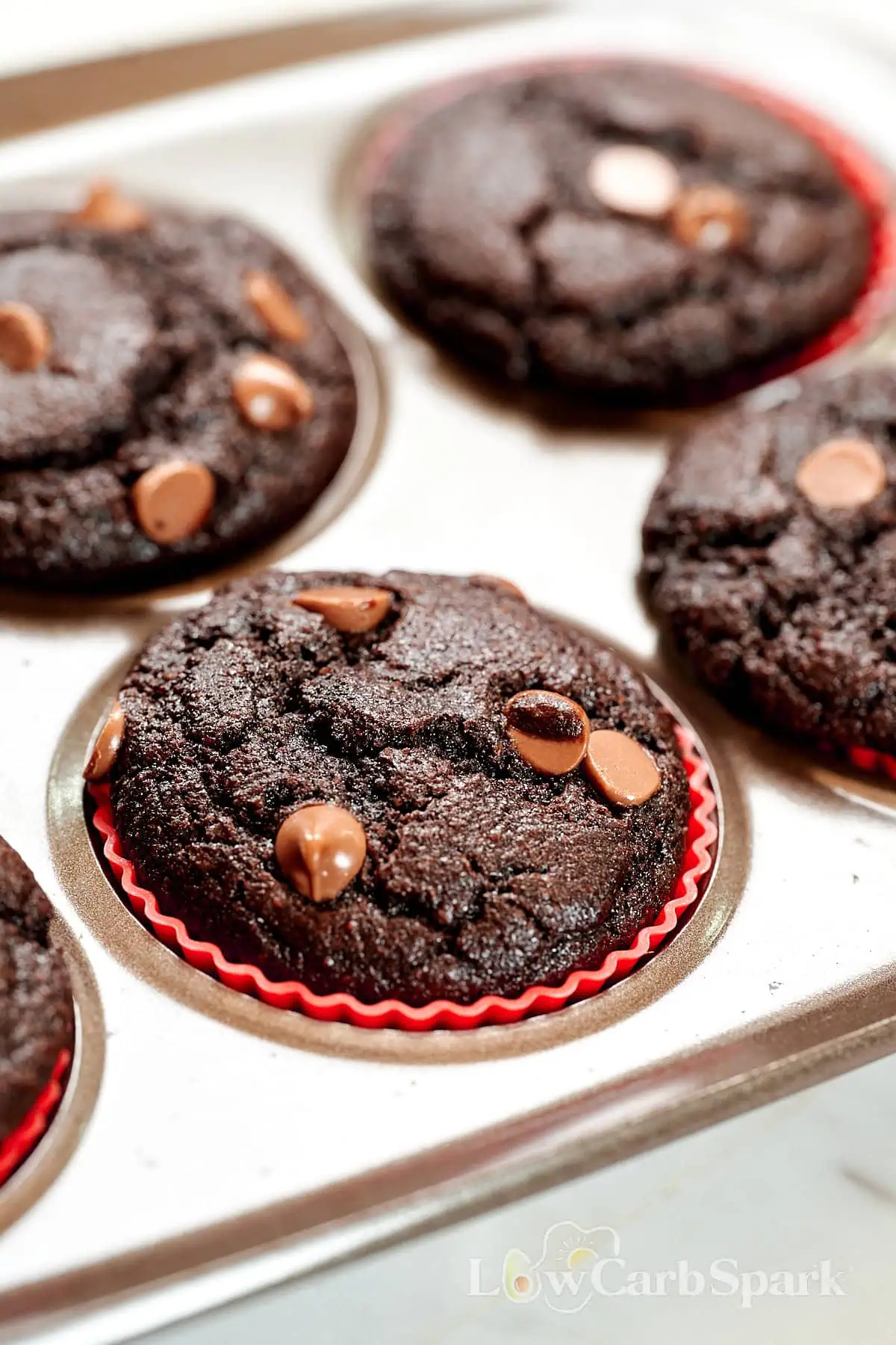Greek Yogurt Chocolate Protein Muffins 2 Chocolate protein muffins baked in a muffin tin with chocolate chips on top.