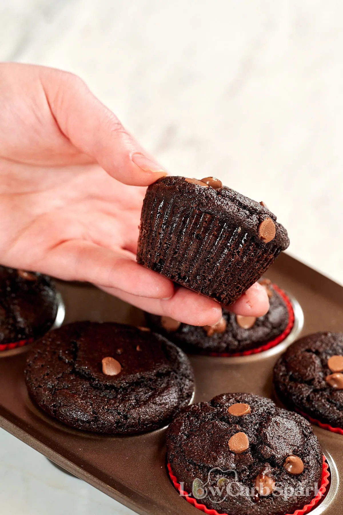 Greek Yogurt Chocolate Protein Muffins 11 Close up of a moist chocolate protein muffin with chocolate chips.
