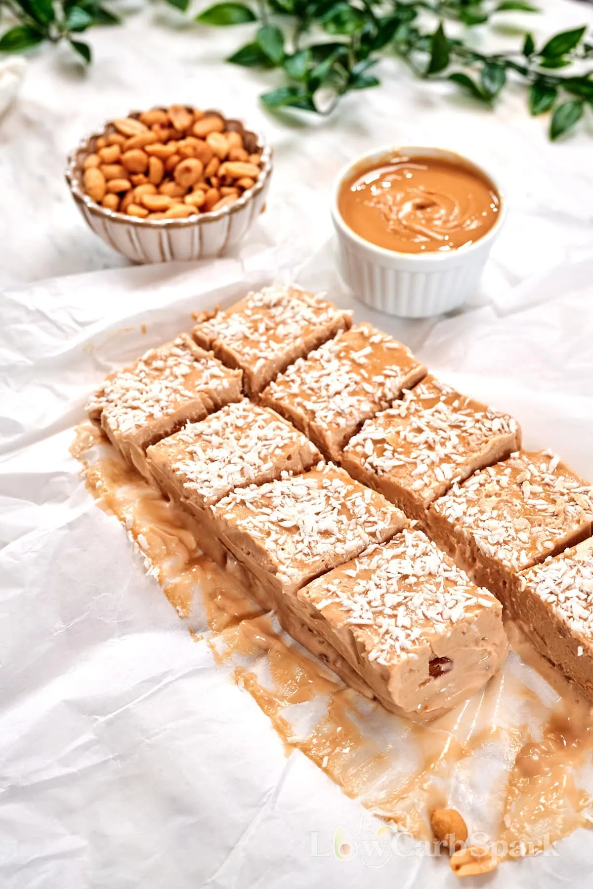 No-Bake Peanut Butter Greek Yogurt Protein Bars 11 No-bake peanut butter Greek yogurt protein bars sliced into squares and topped with shredded coconut, served with peanut butter and roasted peanuts.